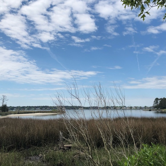 Meet your Posher, Juliana - Picture 1 of 1